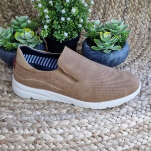 Imagen de 20240125 185857