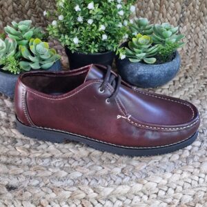 Imagen de 20240226 185532