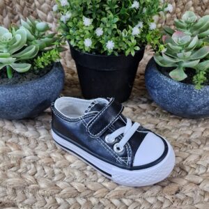 Imagen de 20241108 110450