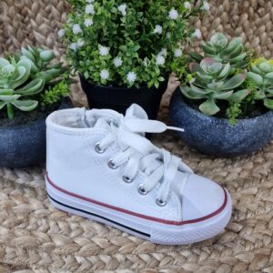 Imagen de 20241108 112651