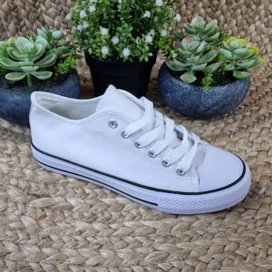 Imagen de 20241108 115227