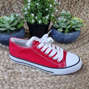 Imagen de 20241108 115243