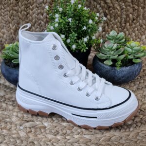 Imagen de 20241108 122053