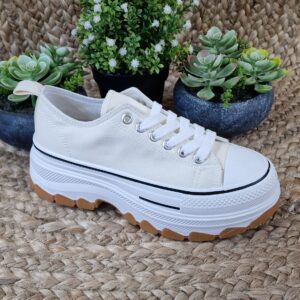 Imagen de 20241108 124633