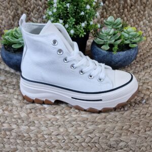 Imagen de 20241108 125712