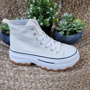 Imagen de 20241108 125731