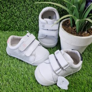 Imagen de 20250327 120410 (1)