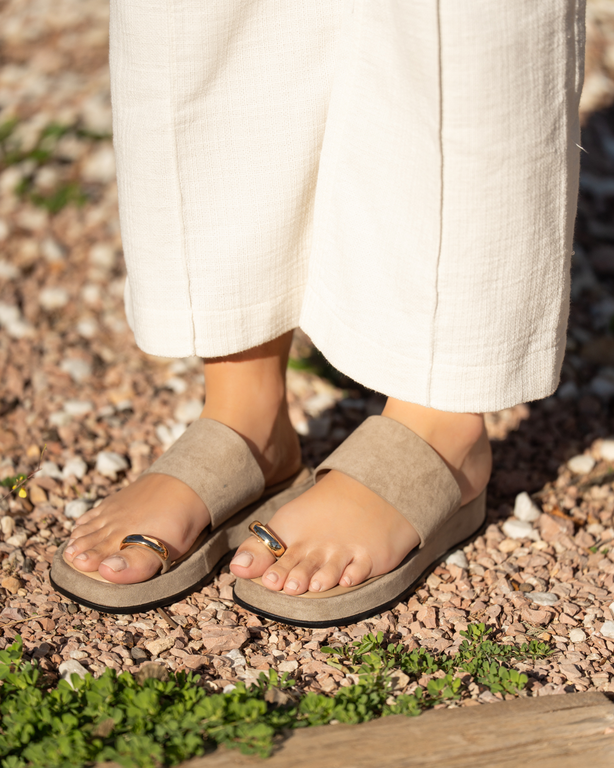 Imagen de 5689 KAKI